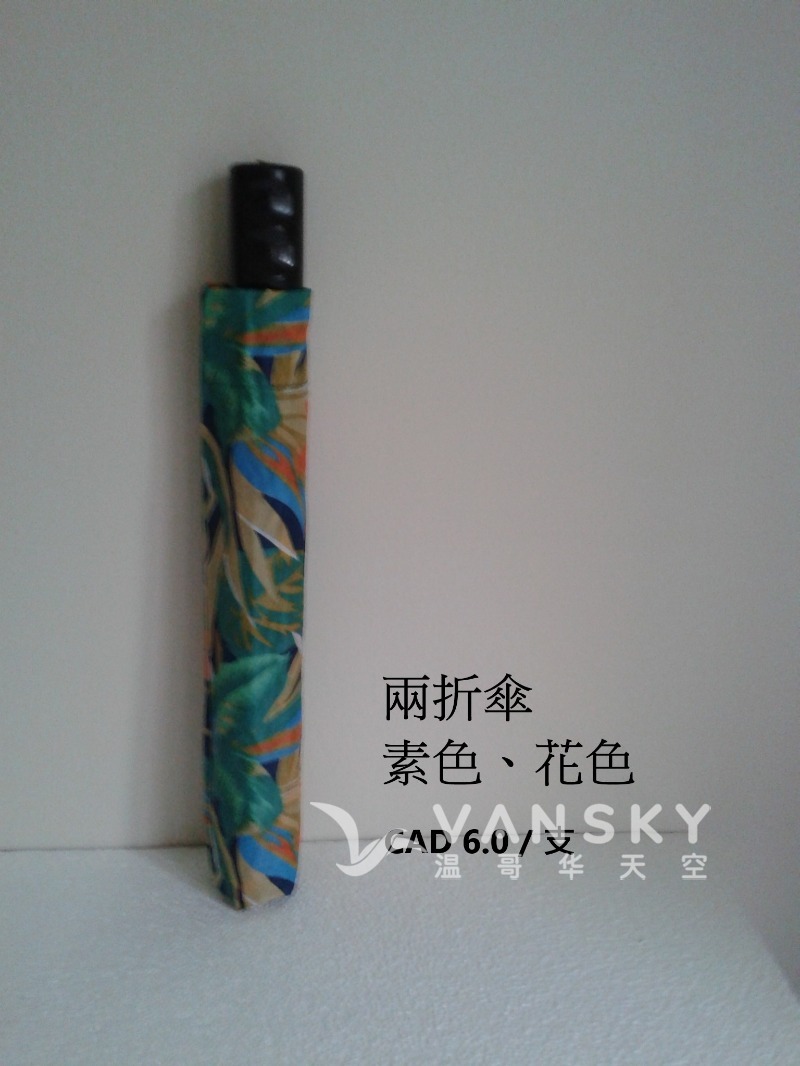 250218074231_2 fold.jpg